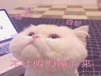 常州盒盒达网络信息科技有限公司