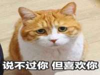 常州盒盒达网络信息科技有限公司