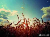 常州盒盒达网络信息科技有限公司