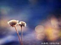 常州盒盒达网络信息科技有限公司