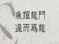 常州盒盒达网络信息科技有限公司