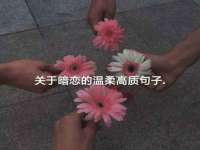 常州盒盒达网络信息科技有限公司