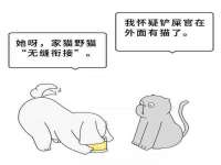 常州盒盒达网络信息科技有限公司