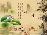 常州盒盒达网络信息科技有限公司