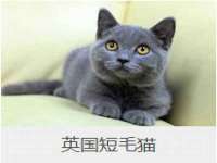 常州盒盒达网络信息科技有限公司