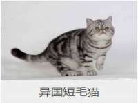 常州盒盒达网络信息科技有限公司