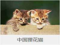 常州盒盒达网络信息科技有限公司