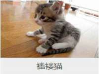 常州盒盒达网络信息科技有限公司