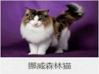 常州盒盒达网络信息科技有限公司