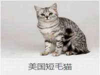 常州盒盒达网络信息科技有限公司