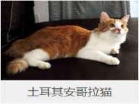 常州盒盒达网络信息科技有限公司