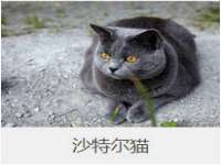 常州盒盒达网络信息科技有限公司