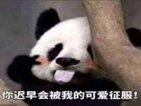 常州盒盒达网络信息科技有限公司