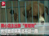 常州盒盒达网络信息科技有限公司