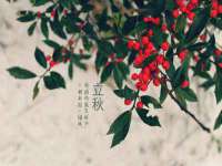 常州盒盒达网络信息科技有限公司