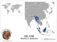 常州盒盒达网络信息科技有限公司
