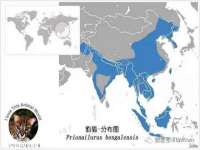 常州盒盒达网络信息科技有限公司