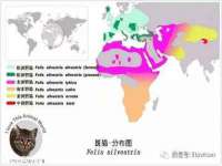 常州盒盒达网络信息科技有限公司