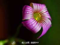 常州盒盒达网络信息科技有限公司