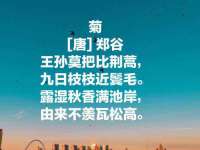 常州盒盒达网络信息科技有限公司