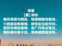 常州盒盒达网络信息科技有限公司