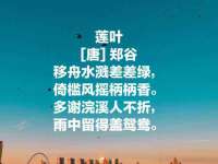 常州盒盒达网络信息科技有限公司