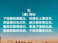 常州盒盒达网络信息科技有限公司