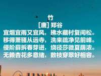 常州盒盒达网络信息科技有限公司