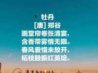 常州盒盒达网络信息科技有限公司