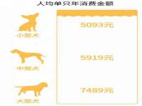 常州盒盒达网络信息科技有限公司