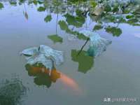 常州盒盒达网络信息科技有限公司