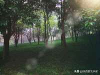 常州盒盒达网络信息科技有限公司