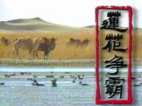 常州盒盒达网络信息科技有限公司