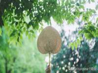 常州盒盒达网络信息科技有限公司