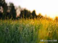 常州盒盒达网络信息科技有限公司