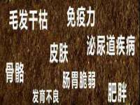 常州盒盒达网络信息科技有限公司