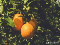 常州盒盒达网络信息科技有限公司