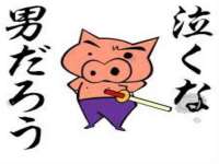 常州盒盒达网络信息科技有限公司