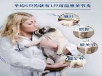 常州盒盒达网络信息科技有限公司