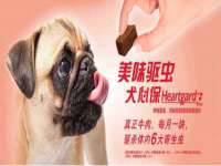 常州盒盒达网络信息科技有限公司