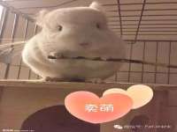 常州盒盒达网络信息科技有限公司