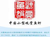 常州盒盒达网络信息科技有限公司