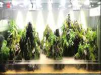 常州盒盒达网络信息科技有限公司