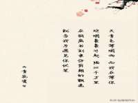 常州盒盒达网络信息科技有限公司