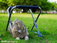 常州盒盒达网络信息科技有限公司
