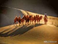 常州盒盒达网络信息科技有限公司