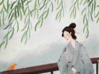 常州盒盒达网络信息科技有限公司