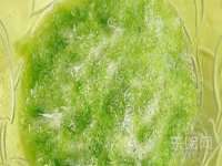 常州盒盒达网络信息科技有限公司