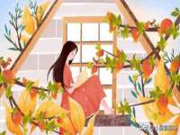 常州盒盒达网络信息科技有限公司
