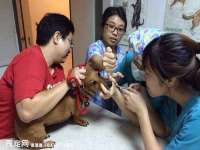 常州盒盒达网络信息科技有限公司